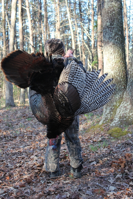 Abby2012Gobbler 026.jpg